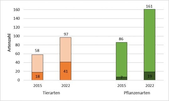 Gesamtanzahl der im Jahr 2015 und 2022 kartierten Tier- sowie Pflanzenarten (hell) mit Angabe der Anzahl der Arten der Roten Liste Bayerns (dunkel)