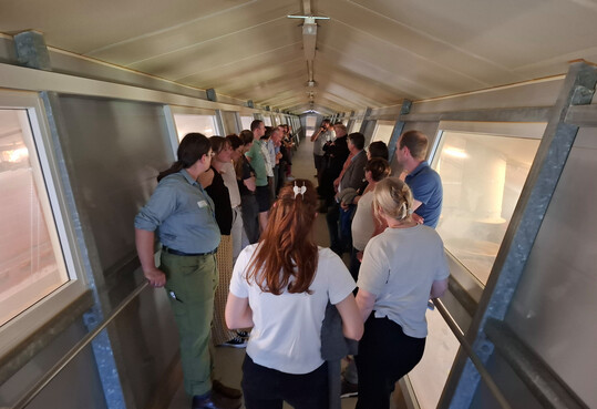 Vom Besuchergang aus konnten die Teilnehmer einen Blick in den Versuchsstall werfen, in dem gerade die Küken schlüpften.