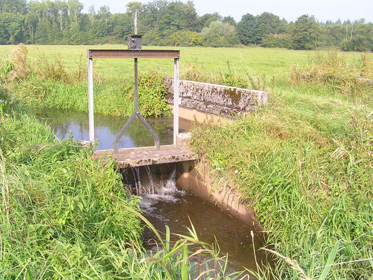 Sollachgraben bei Bellheim: Bewsserungsgraben vom Spiegelbach zu den Holzwiesen