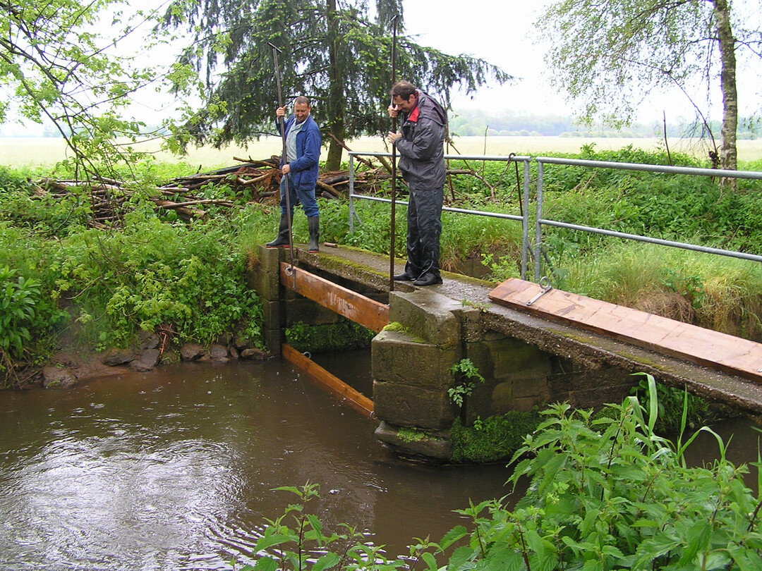 Rdelwehr in der Nhe von Ottersheim bei Landau vor der Restaurierung