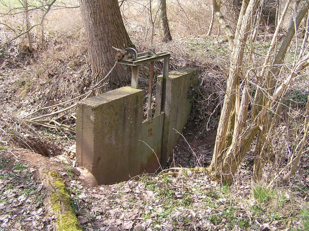 Alter verfallender Graben in den Landauer Horstwiesen