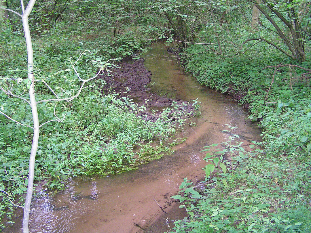 Der Flograben ist vorgesehen fr die Bewsserung des Offenbacher Waldes. Aufnahme vom Frhjahr 2024, an der Stelle, wo ein Anstau im Wald vorgesehen ist.