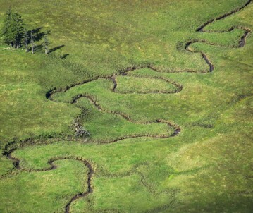 Abb. 1: natrlicher mandrierender Oberer Krumbach bei Steineberg