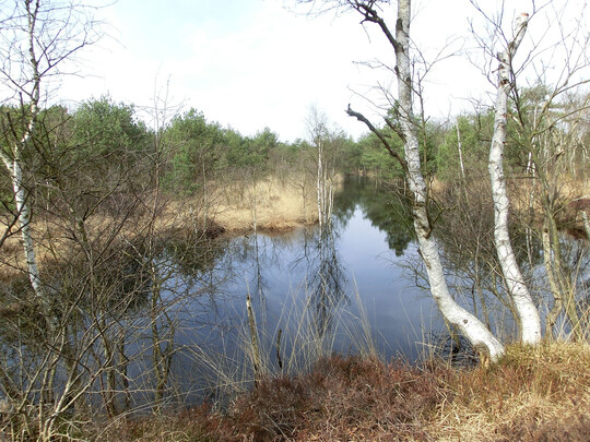 In einem der ehemaligen Grben staut sich das Wasser nun in die Flche hinein.