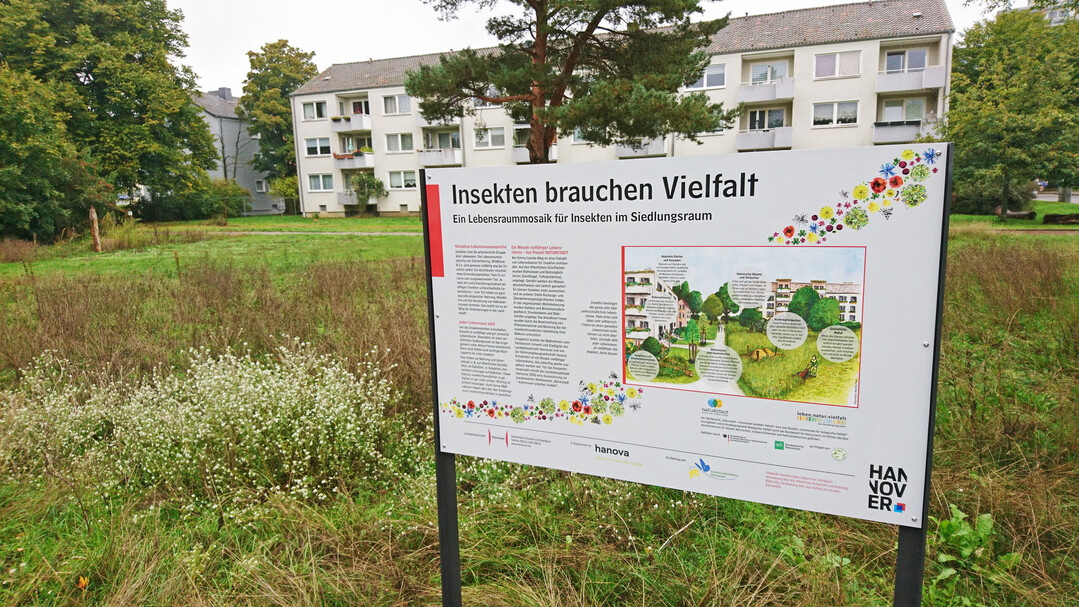 Infotafeln erklren die Bedeutung des Lebensraummosaiks.