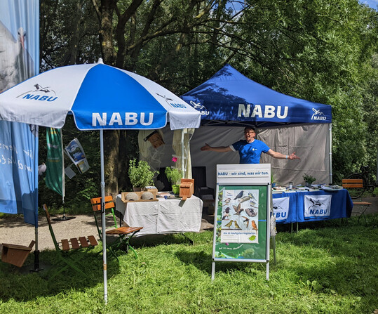 Mehr Natur in die Stadt bringen: Der NABU gibt Tipps, wie es richtig geht.