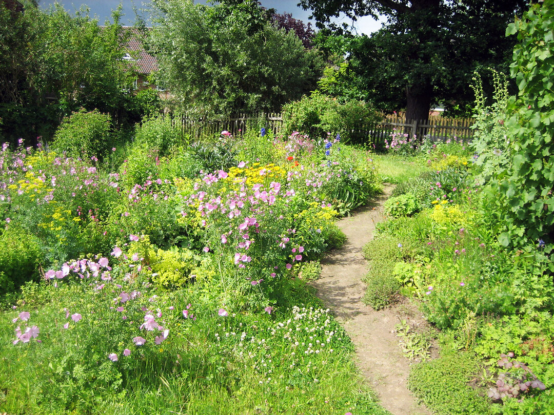 Wildstaudengarten mit Malven
