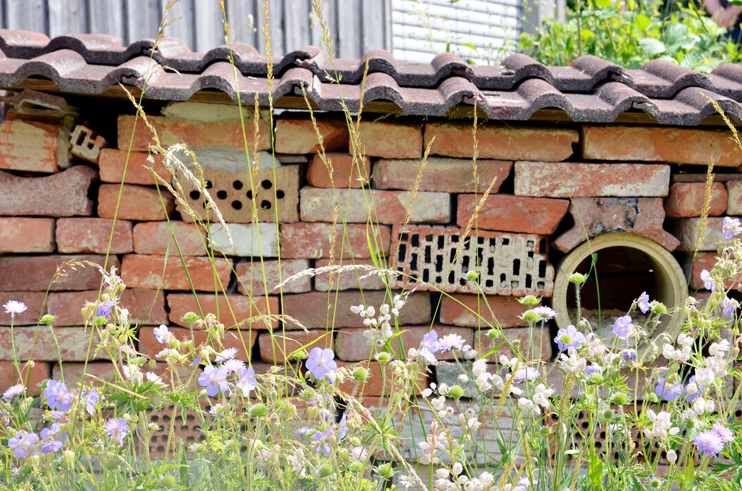 Einfache Trockenmauern aus Recyclingmaterialien bieten wrmeliebenden Arten wichtigen Lebensraum.
