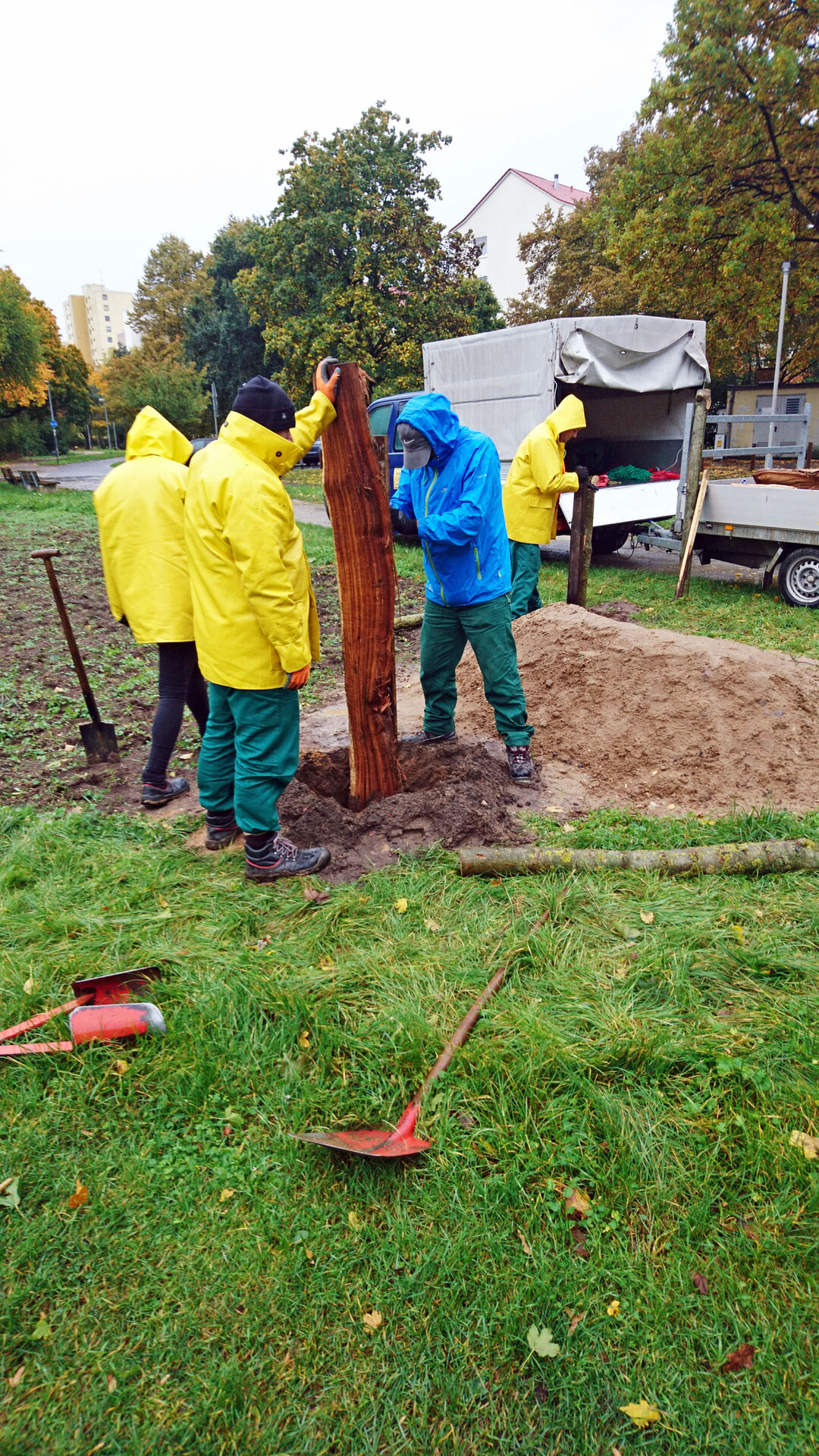 Insekten brauchen nicht nur Nahrung, sondern auch Habitate. Hier bringt das Team stehendes Totholz ein.