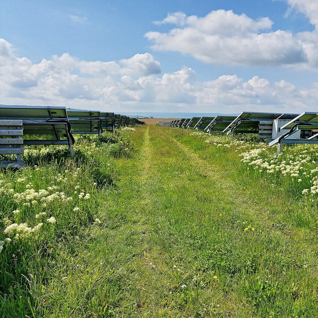 Photovoltaik-Freiflächenanlage