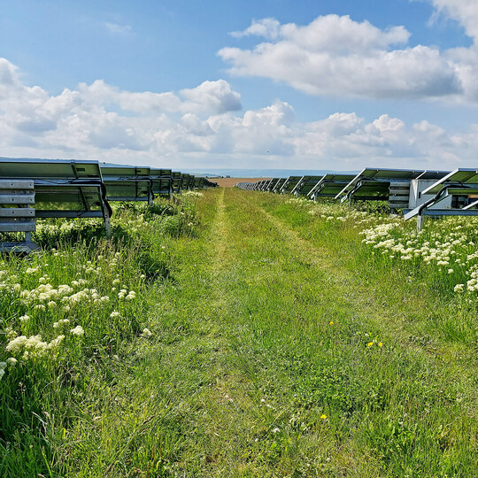 Photovoltaik-Freiflchenanlage
