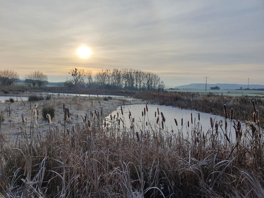 Auch wie jetzt im Winter sind Feuchtgebiete ein echter Blickfang!