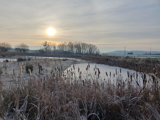 Auch wie jetzt im Winter sind Feuchtgebiete ein echter Blickfang!