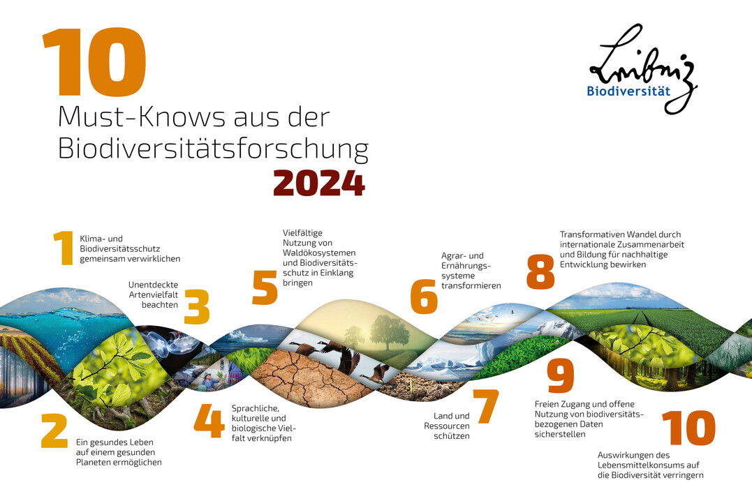 bersicht ber die 10 Must-Knows aus der Biodiversittsforschung 2024
