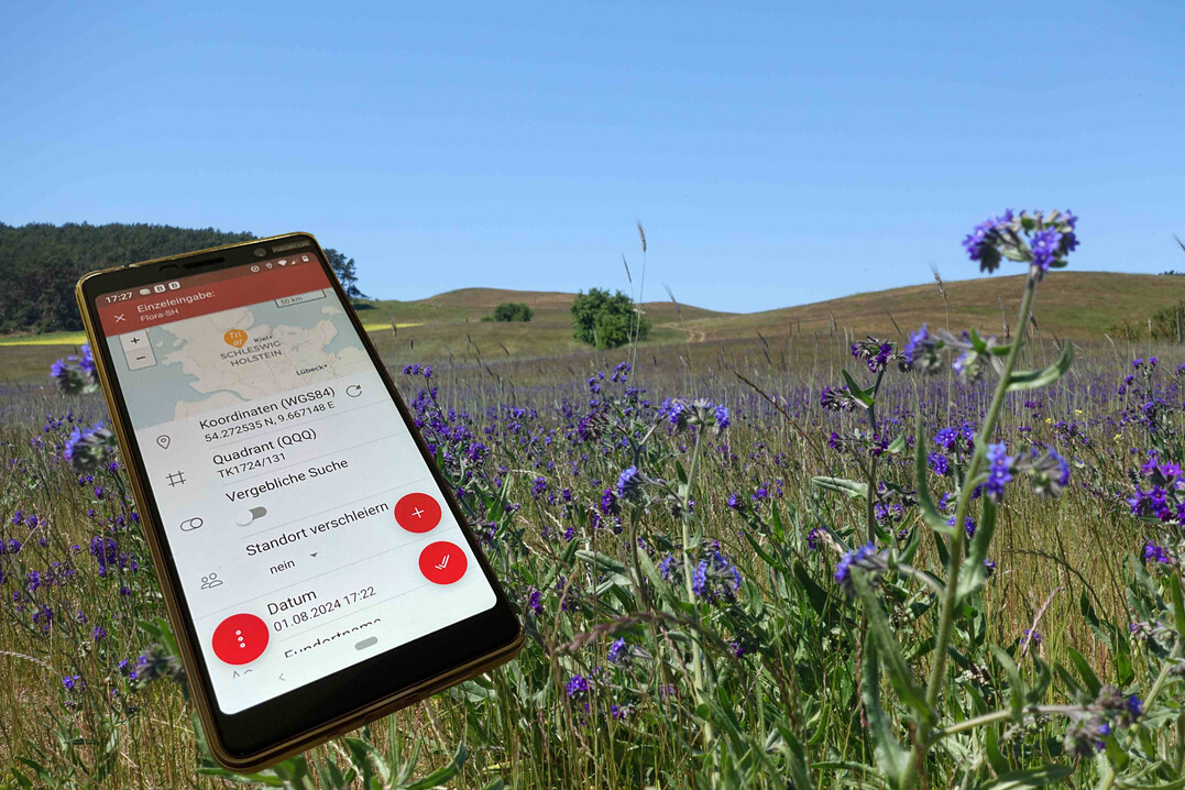 Mit der App knnen Meldungen im Feld eingetragen werden.