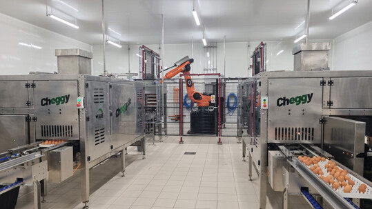 Die deutsche Technologie Cheggy wird erstmals in Brütereien in den USA eingesetzt werden.