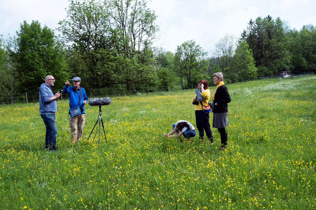 Gemeinsam entdeckt das Team die Gerusche von Grnland in Klangklausuren.