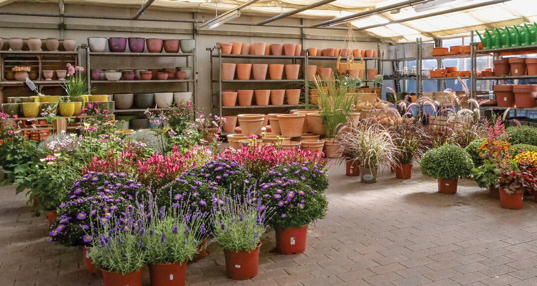 3) Der Sortimentsfokus liegt klar auf Blumen und Pflanzen. Bis in die 1990er-Jahre wurde ein Großteil der Saisonpflanzen noch selbst produziert. Heute erfolgt der Einkauf auf dem Hamburger Blumengroßmarkt vor allem aus regionaler Produktion.