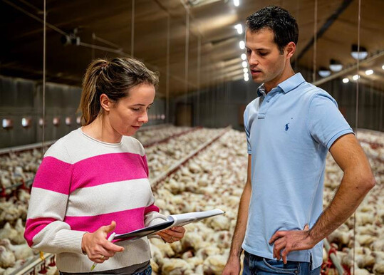 Das Interreg-Projekt RAMBO zielt darauf ab, Ammoniak- und Methanemissionen in der Geflügelhaltung durch Maßnahmen wie Futteranpassungen und Stalloptimierungen zu reduzieren.
