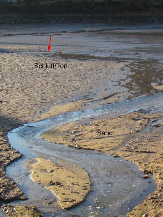 Abb. 7a: In einem abgelassenen Weiher bildet der zulaufende Bach ein Initialgerinne aus, welches im sandig-kiesigen Sediment breit und flach ist ...