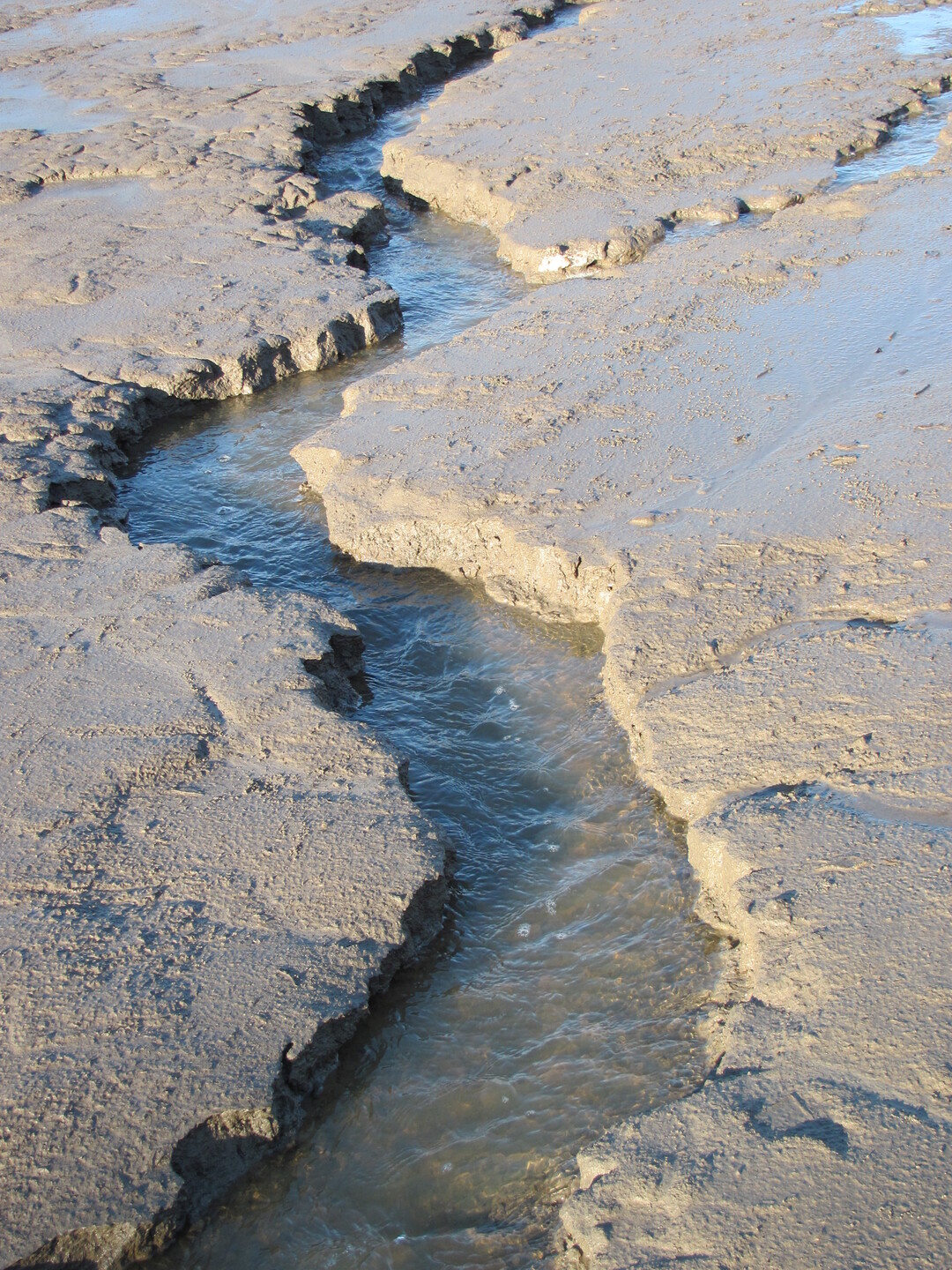Abb. 7b: ..., im schluffigen Sediment (rechts) schmal und tief. Das Foto zeigt den in Abb. 7a mit Pfeil markierten Gerinneabschnitt.