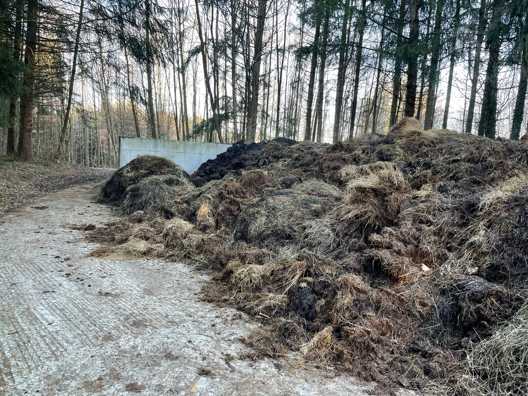 Auf der Mistplatte eines Landwirts werden Festmist und Landschaftspflegegras gemeinsam kompostiert und anschlieend eigenverwertet.