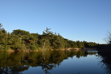 Wasser mit ausgeprgter Ufervegetation
