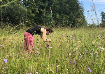Saatgut aufsammeln im Rahmen des Artenschutzprojekts Botanische Grten sterreichs