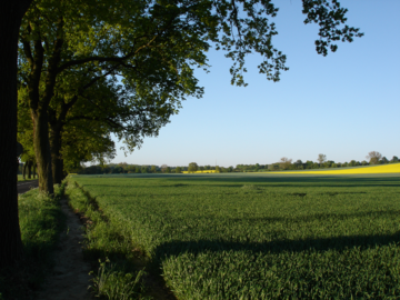 Klimaanpassungsmanahmen, beispielsweise die Wiedervernssung von Feuchtgebieten oder die Ausweitung von Baumbestnden, sind in der Lage die Landschaft regional um mehrere Grad Celsius zu khlen.