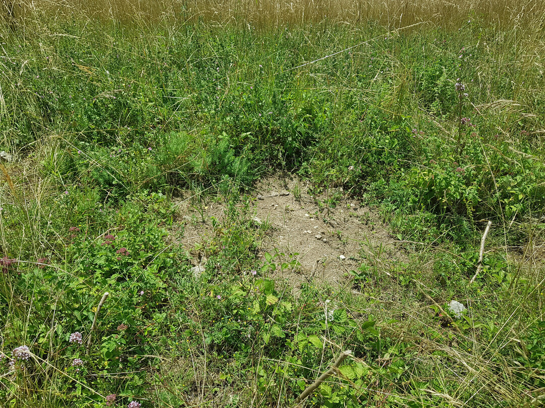 Brandstelle im Naturschutzgebiet Liebenberg