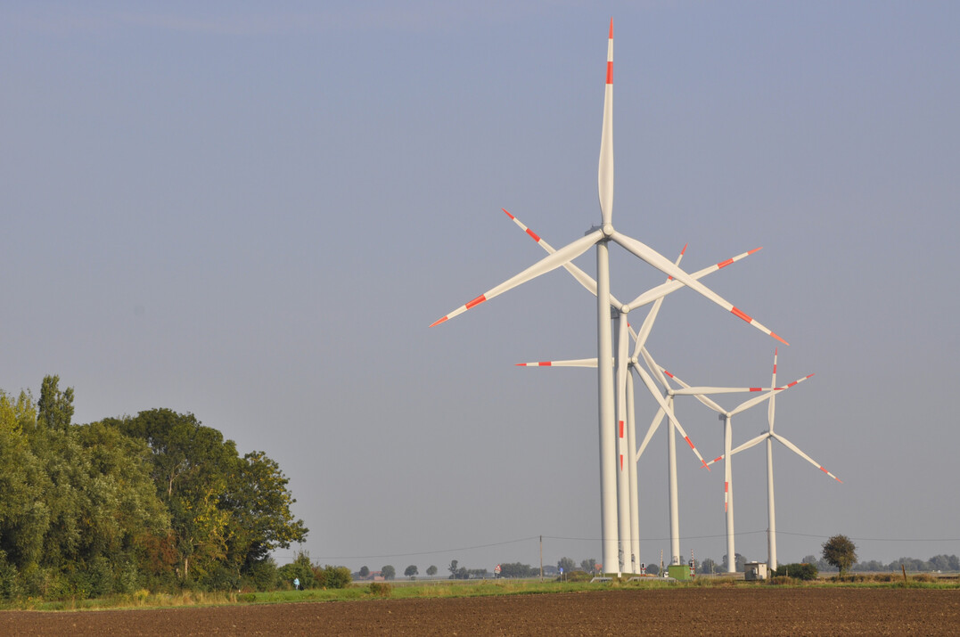 Windkraftanlagen bei Bad Nieuweschans