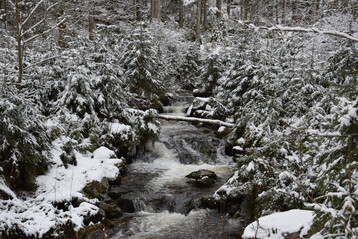 Winterlicher Bach im Schwarzwald