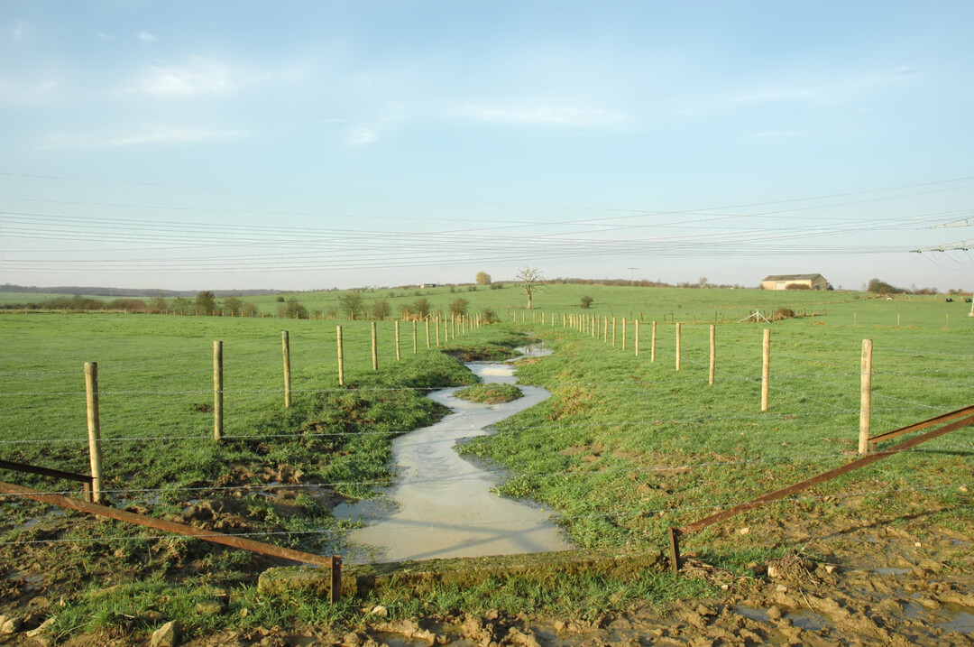 Die Revitalisierung kleiner wie groer Bche ist vor allem auch aus Sicht des Wasserschutzes bedeutsam.