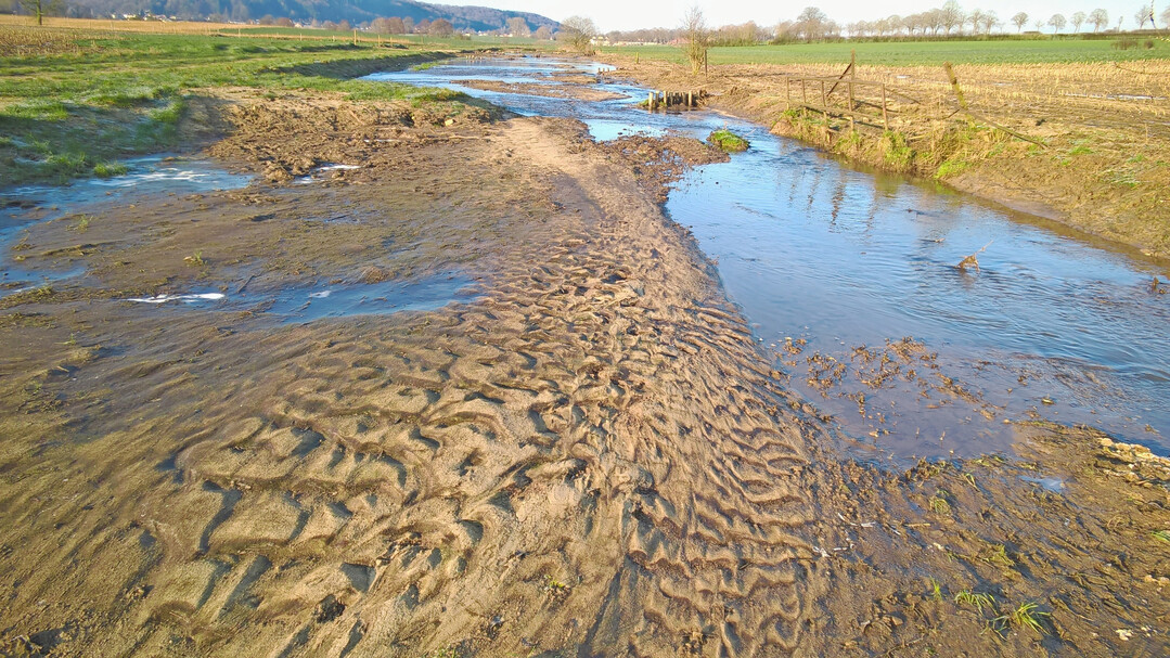 Natrlicher Wasserrckhalt als wertvolle kosystemleistung