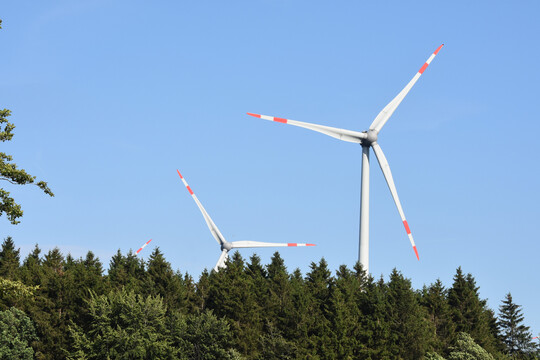 Windenergie im Wald: Oft ist es trotz Transparenzgesetz nicht einfach, Informationen zu Genehmigungsverfahren zu erhalten.