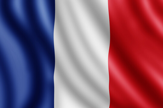 In Frankreich wurde bei geimpften Mastenten die Geflügelpest nachgewiesen.