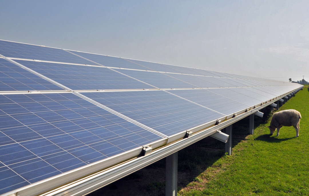 Photovoltaik und Beweidung knnen auch kombiniert werden - auch dazu wird im Bndnis geforscht.