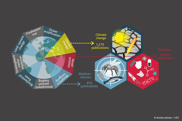 Effekte von Plastik auf die drei planetaren Krisen Klimawandel, Biodiversittsverlust und Umweltverschmutzung: Die wissenschaftlichen Erkenntnisse sind bislang lckenhaft und ungleich verteilt.