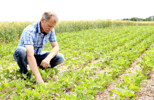 Ein Landwirt bzw. eine Landwirtin ernährte in Deutschland laut der jüngsten Erhebungen 147 Personen – und das allein mit deutschen Erzeugnissen.