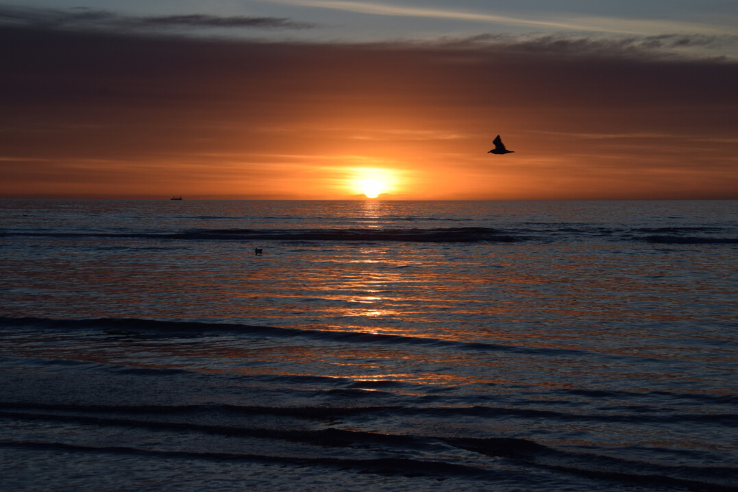 Sonnenuntergang am Meer