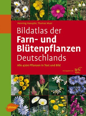 Bildatlas der Farn- und Bltenpflanzen Deutschlands