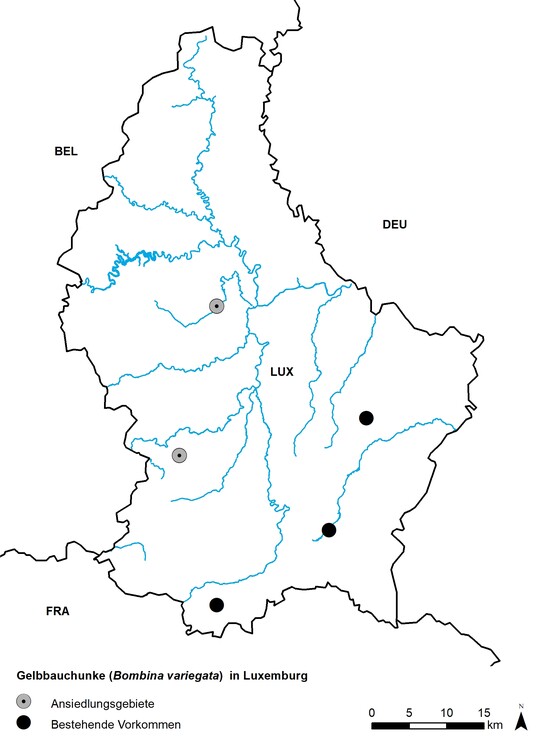 Abb. 2: Lage der beiden Ansiedlungsgebiete Warkdall (nrdliches Gebiet) und Olmerbaach (sdliches Gebiet) sowie noch bestehende Vorkommen der Gelbbauchunke in Luxemburg (MNHNL 2000, SICONA 2000). Kartengrundlage:  Administration du cadastre et de la topographie du Grand-Duch de Luxembourg (Fliegewsser);  EuroGeographics (Landesgrenzen)