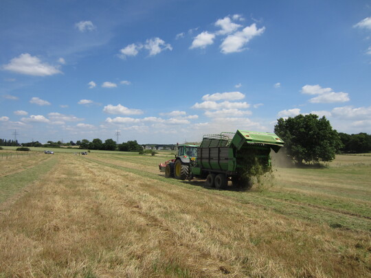 Renaturierungen sollen in allen Regionen mit den bewhrten Techniken (wie Mahdgutbertragung, Ansaat von mit einem Seedharvester geerntetem Spendermaterial oder zertifiziertem autochthonen Wildpflanzensaatgut) umgesetzt werden.