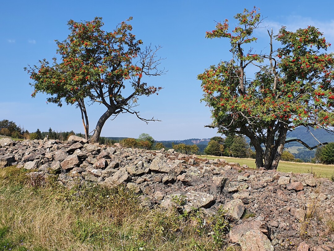 Steinriegel im Osterzgebirge (SN)