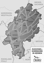 Durch Recherchen und Befragungen hat der NABU Hessen eine Karte der Hauptzugwege von Vögeln erstellt.