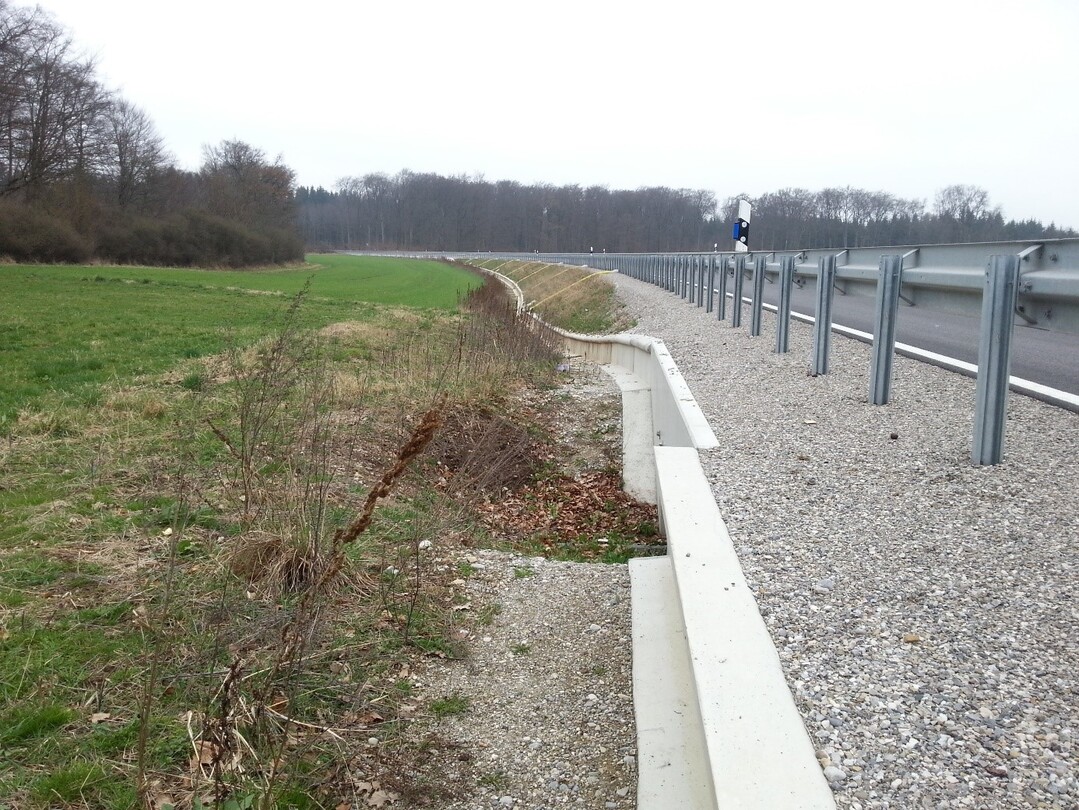 Amphibienschutzanlage bei Wessling  hier wurden nach Fertigstellung mehrfach tote Amphibien (Adulte, Juvenile) mehrerer Arten festgestellt .