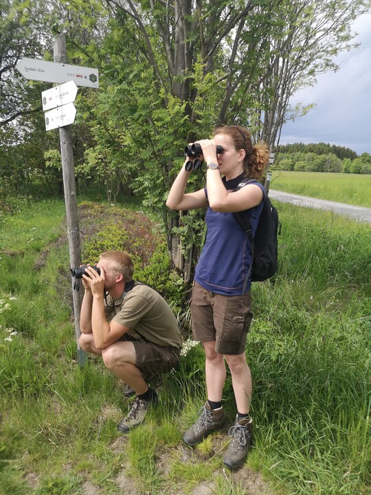Vogelbeobachtung auf einer Exkursion
