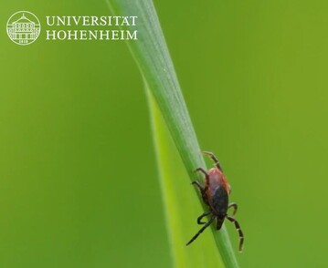 Der Klimawandel begnstigt die Ausbreitung von Zecken und der Krankheit FSME.
