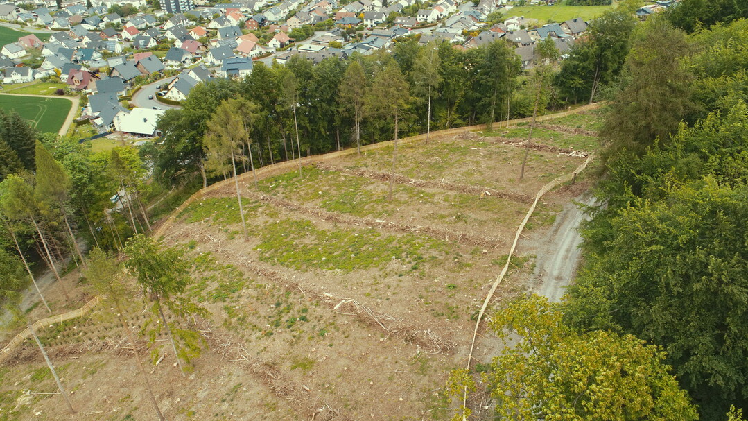 Drohnenaufnahme der Projektflche