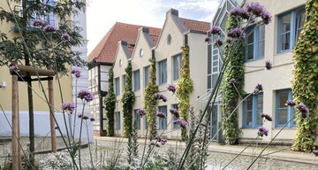 Staudenpflanzungen in der Ritterstrae in Verden 